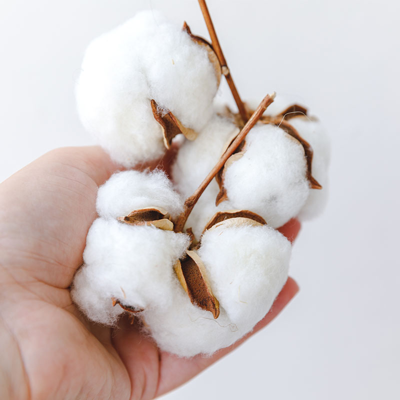 Facts about Organic Cotton, Organic Cotton Advantages