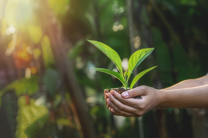 evolution of sustainable textiles